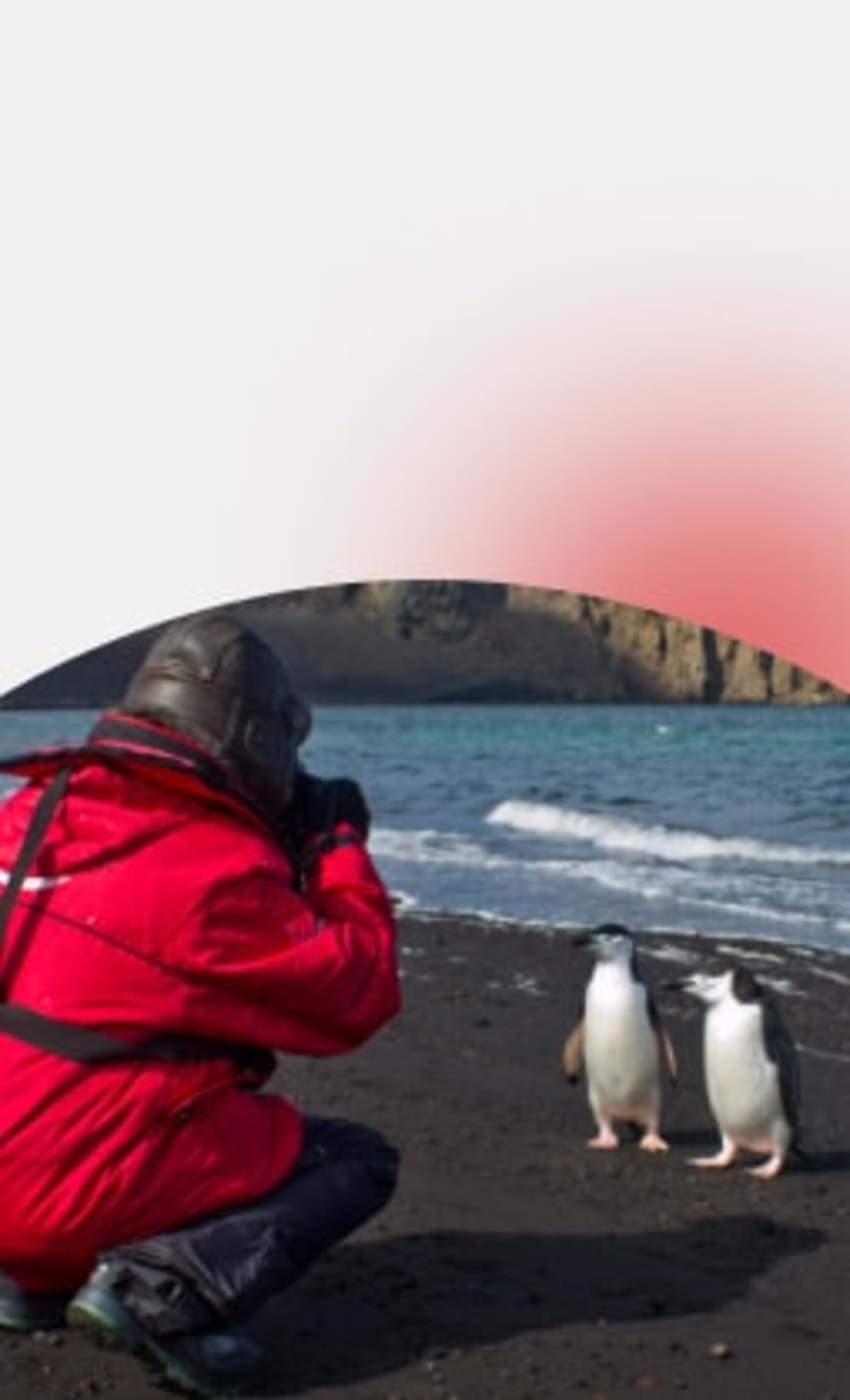 International Fund for Animal Welfare (IFAW)