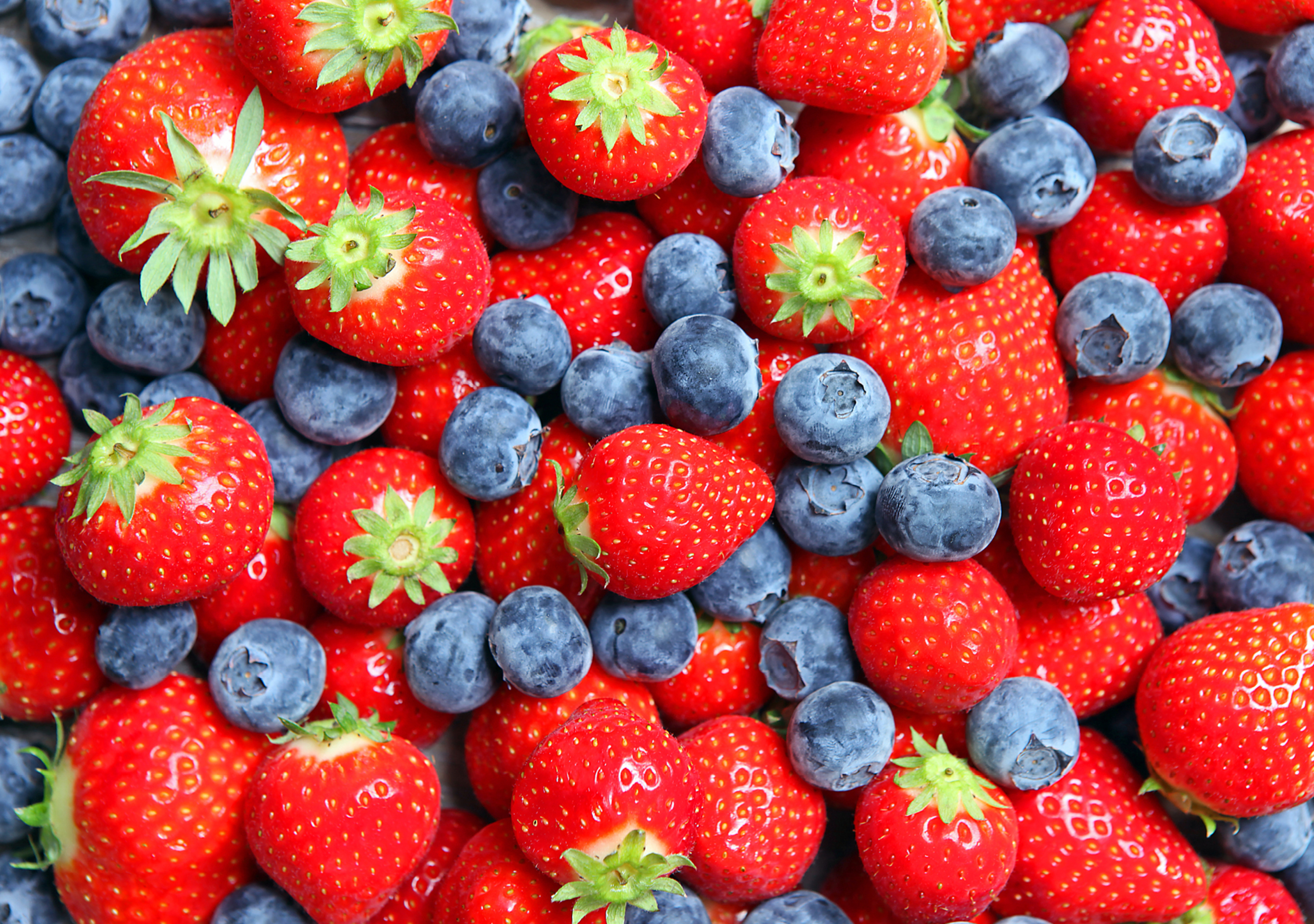 Buy 1, Get 1 <br><span style='font-size:40px'> For $1</span