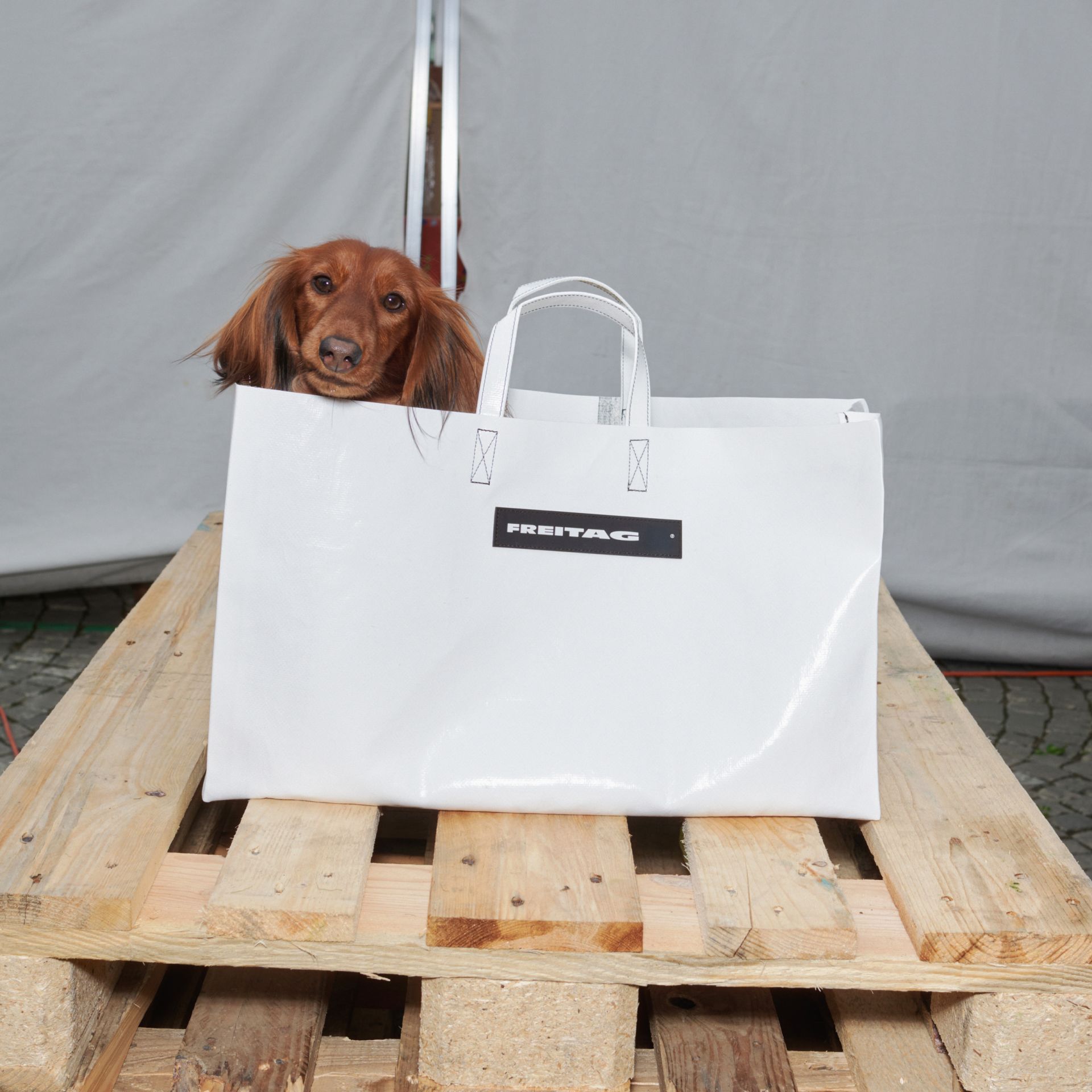 ImageFREITAG F260 MIAMI WIDE SimonHabegger RGB 03