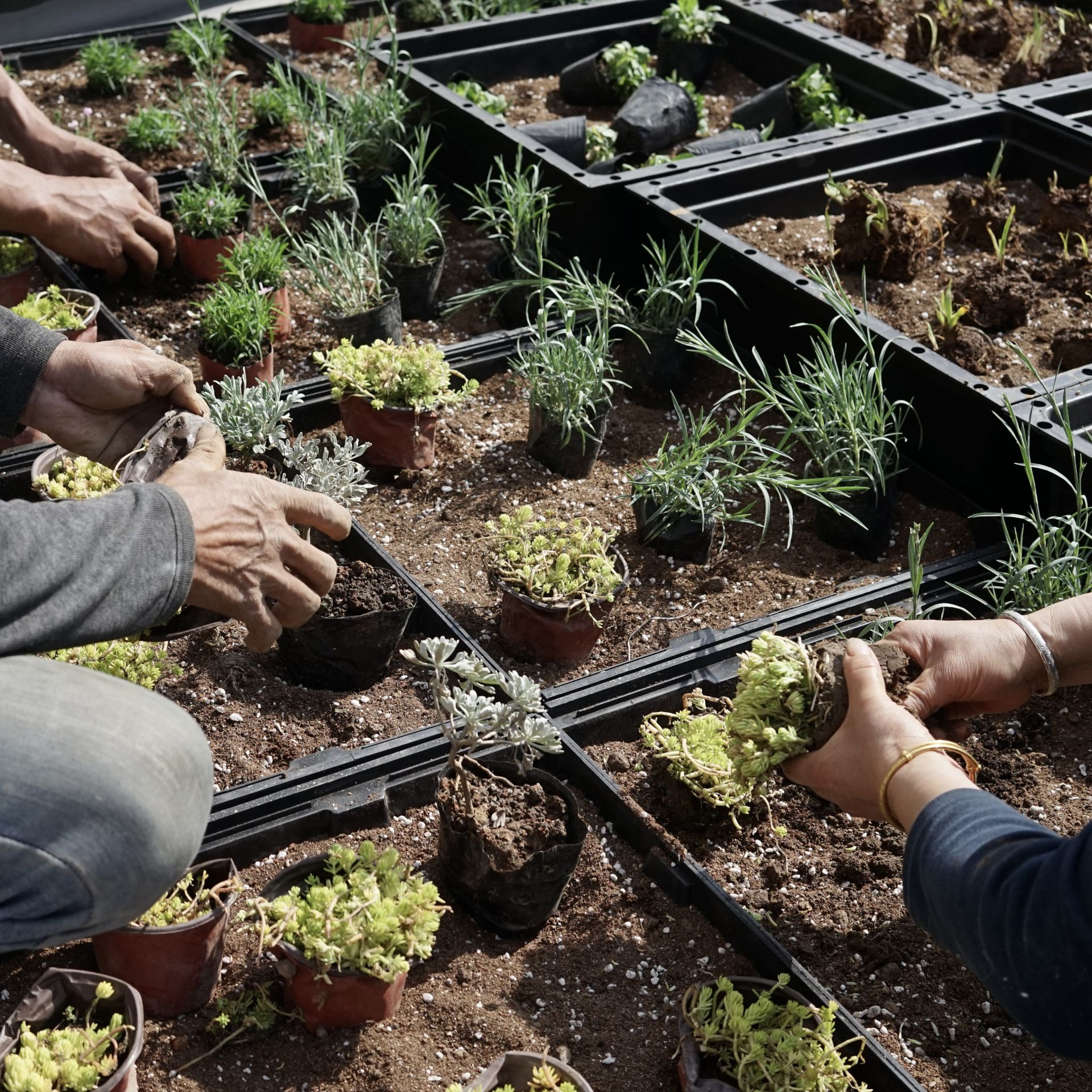 ImageFREITAG STORE SHANGHAI PROCESS HighRes RGB 15