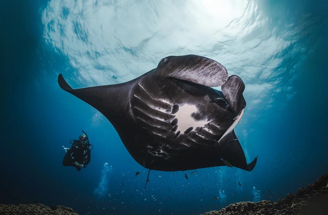 This is a title with ten words or less.