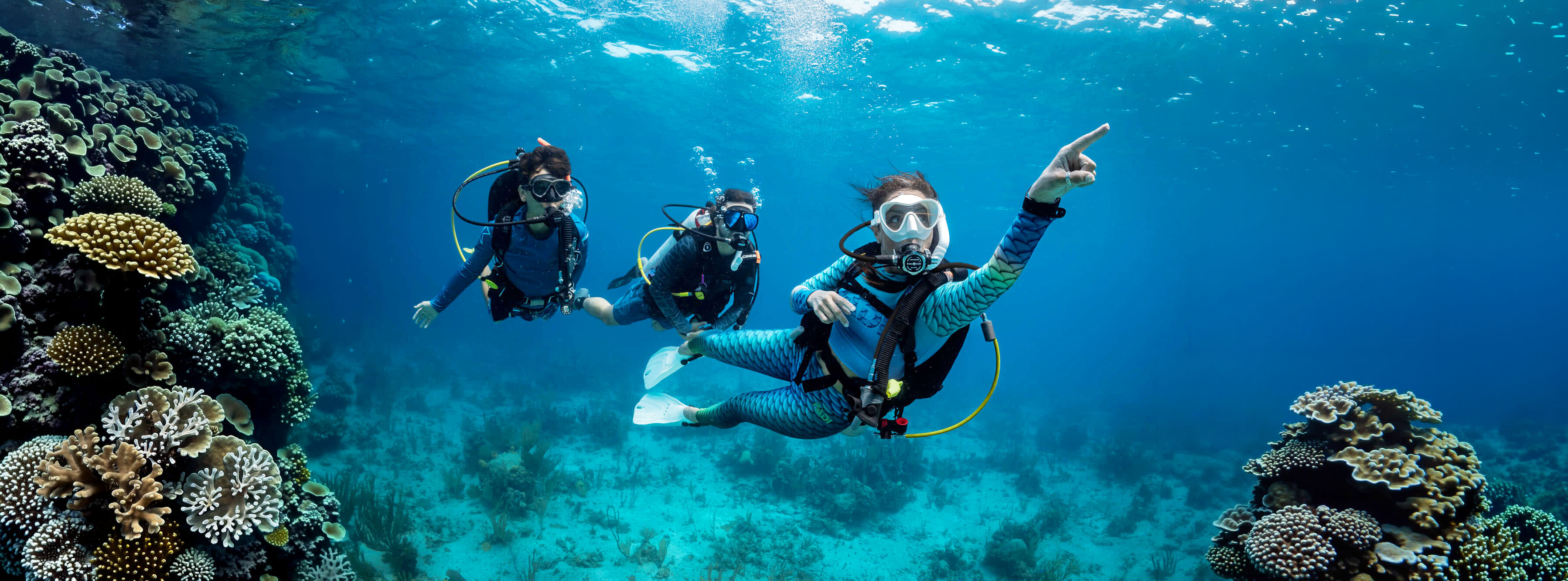 Curso Open Water Diver eLearning 