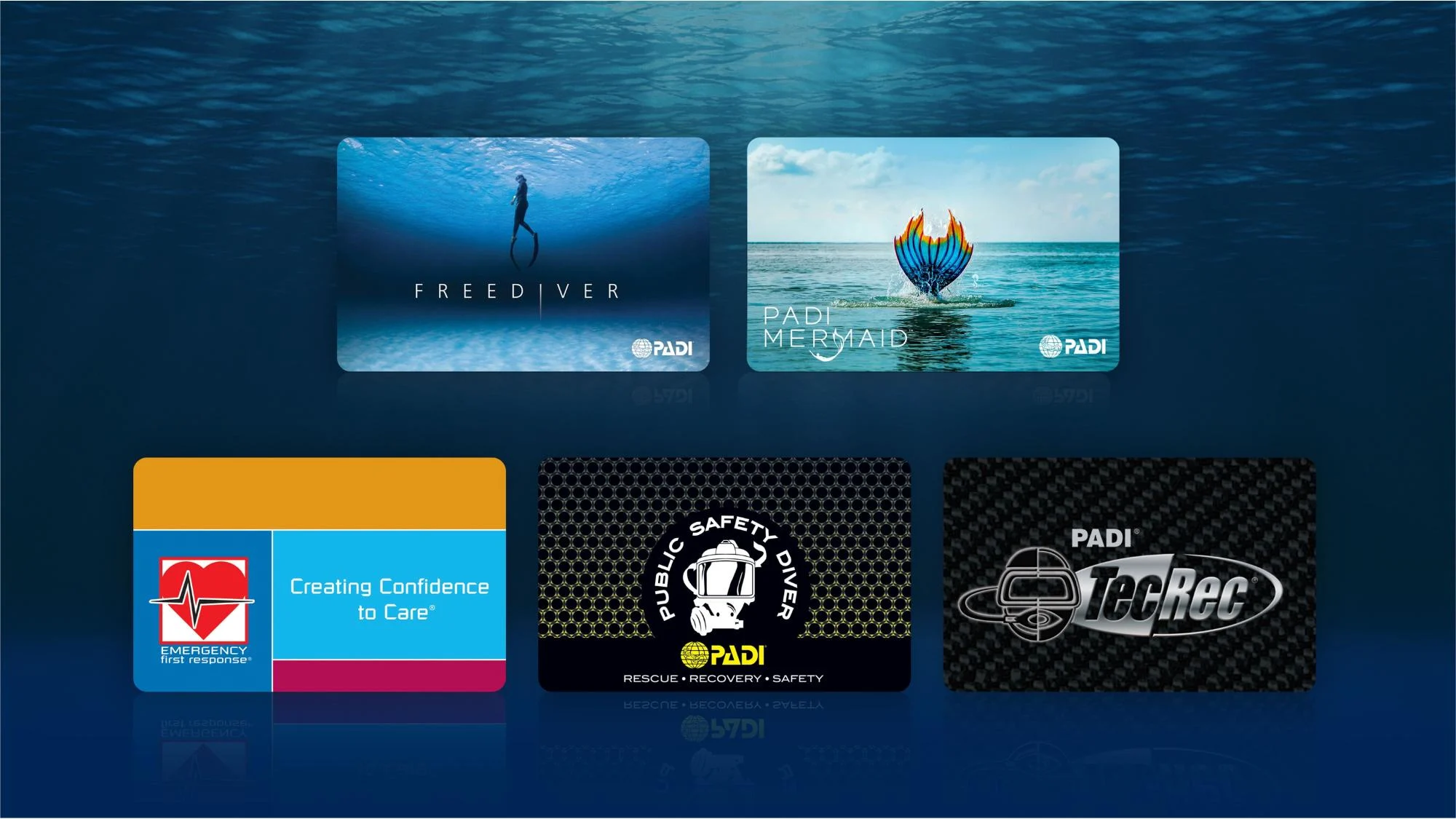 gallery of certification card designs