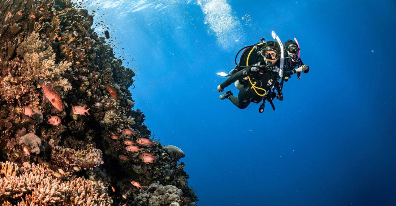 Explore and Protect the Ocean