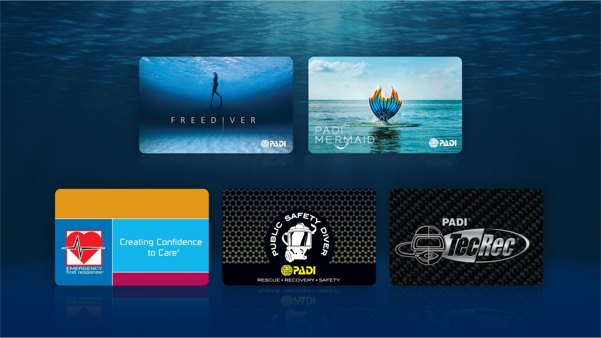 gallery of certification card designs gallery of certification card designs