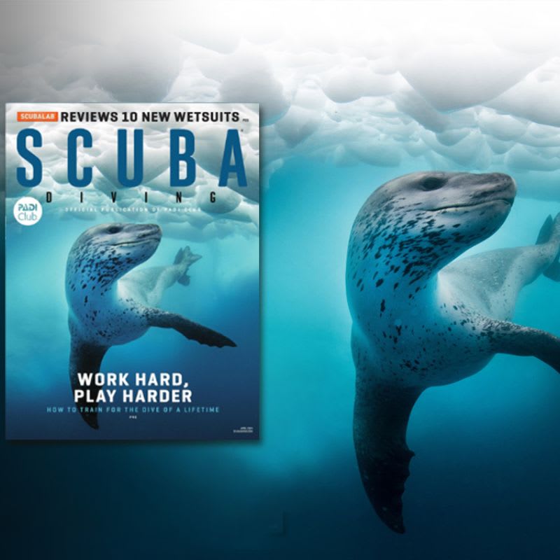 Scuba diving magazine cover with leopard seal