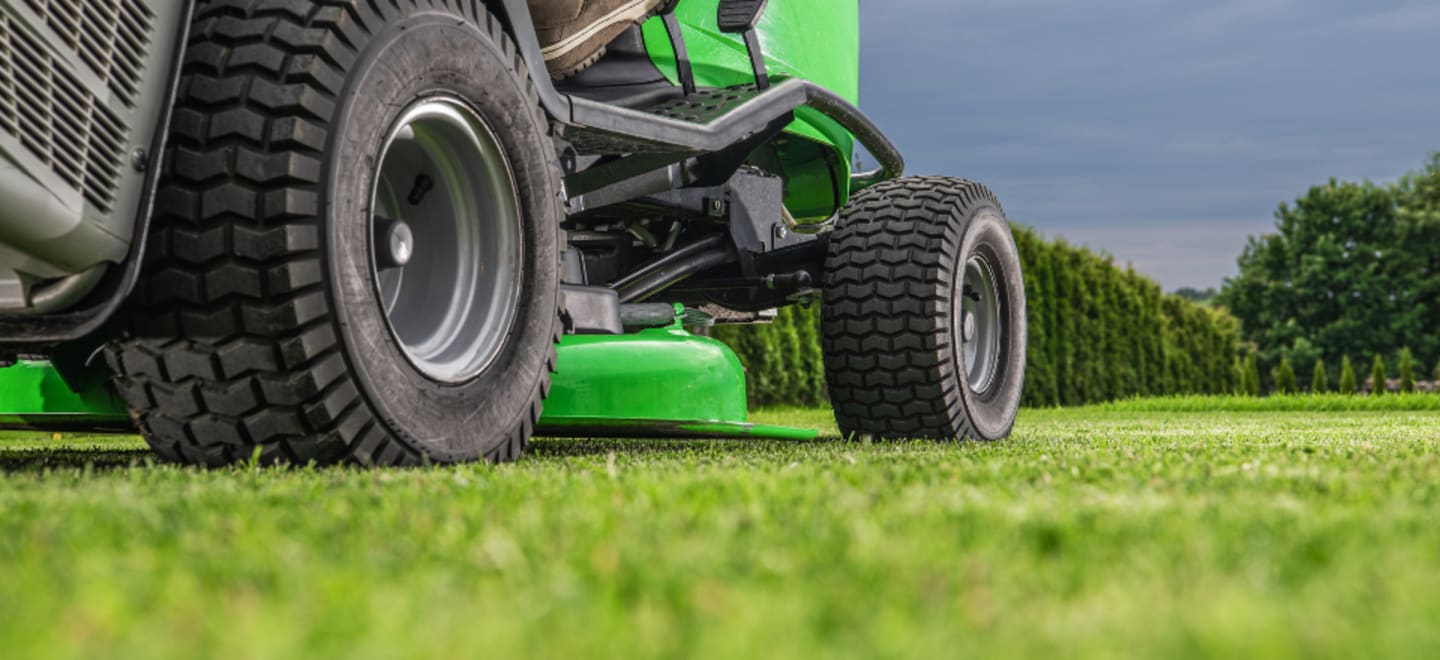 Porównanie różnych modeli kosiarek do ogrodu