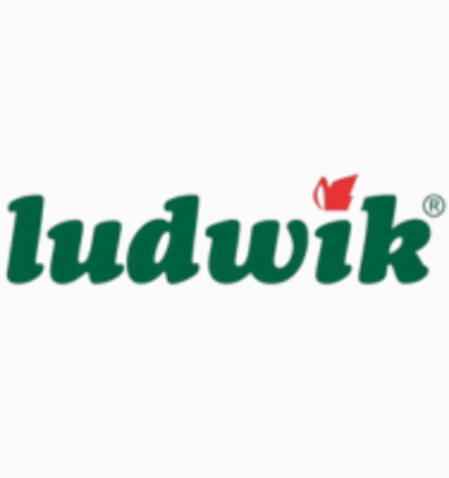 Ludwik - płyn do mycia naczyń, sól do zmywarki, pianki do czyszczenia łazienki - wszystko na Selgros24