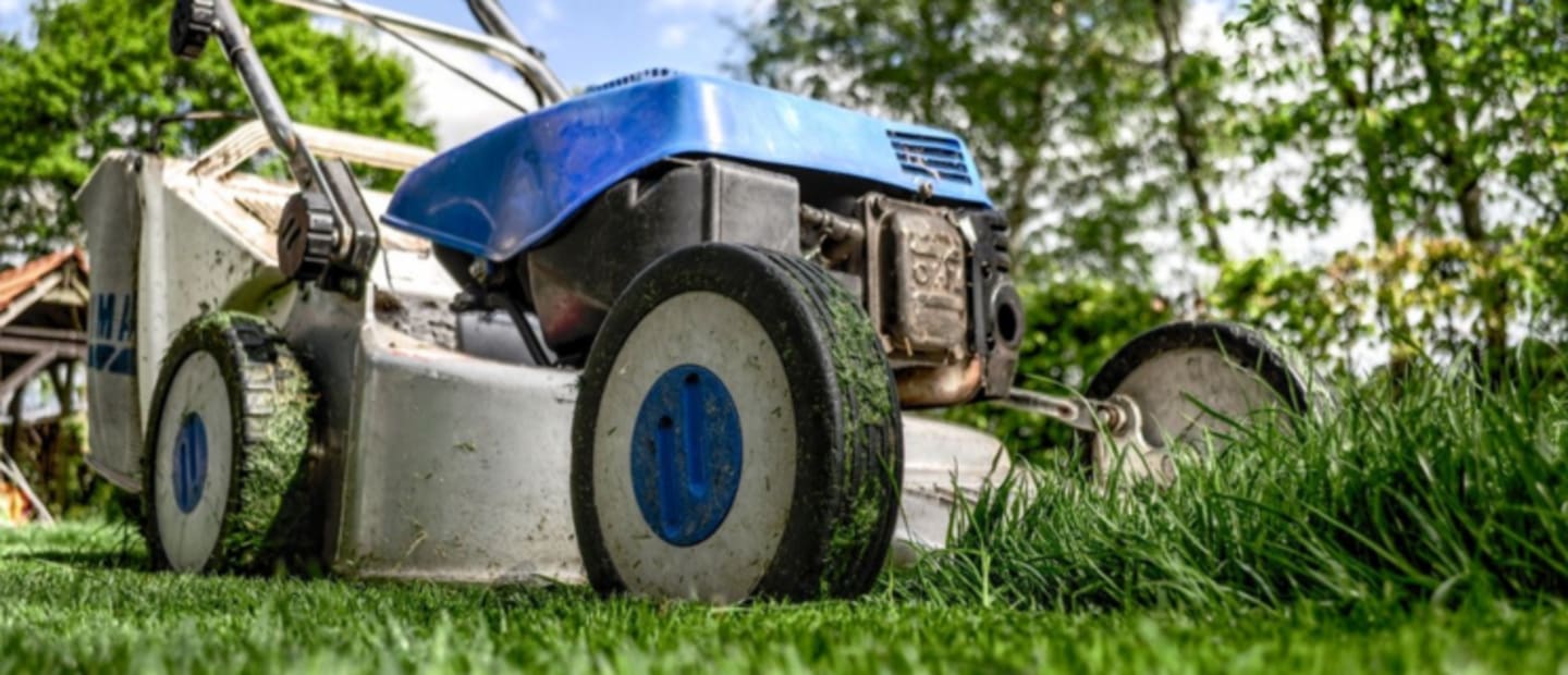 jaka kosiarka do trawy - sprawdź propozycje