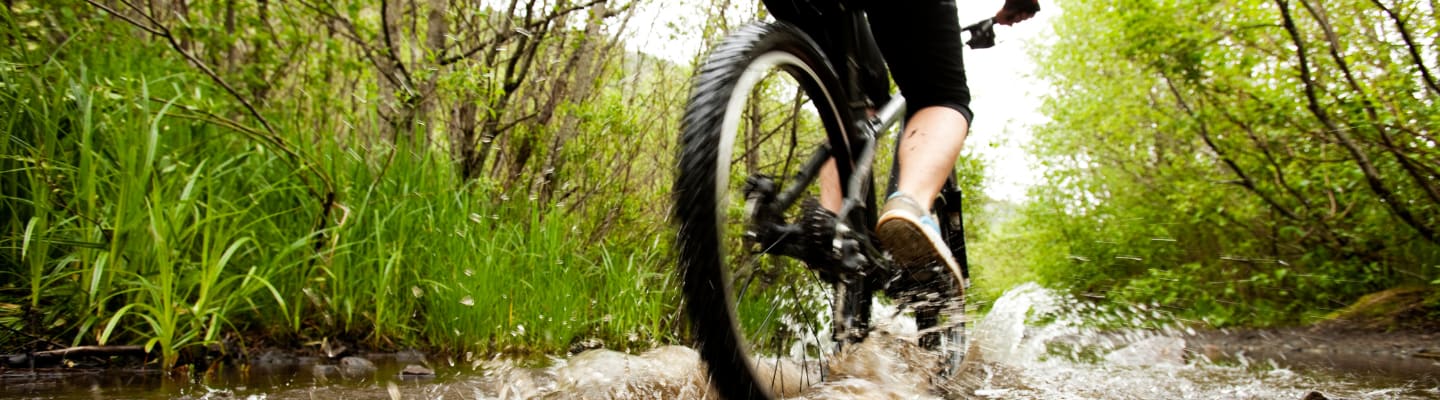 rodzaje rowerów - poradnik na Selgros24