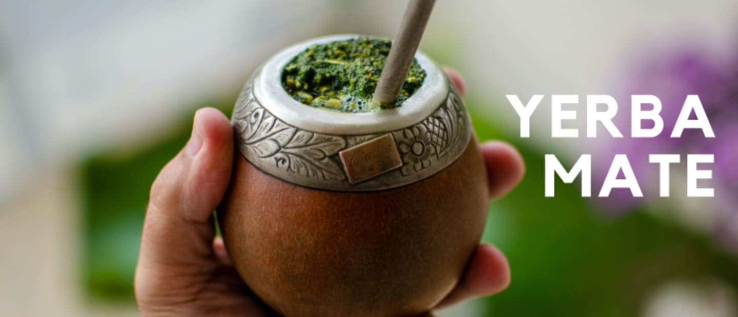 yerba mate herbata w naczyniu