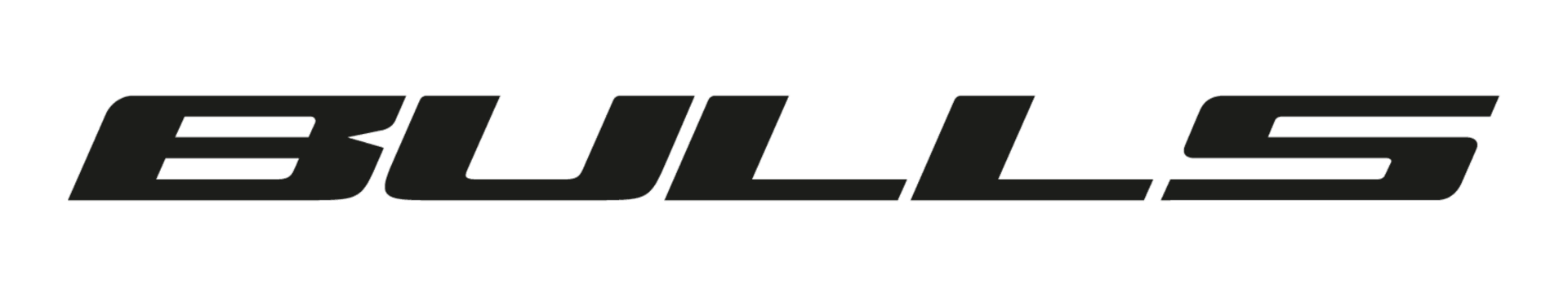 Bulls Logo