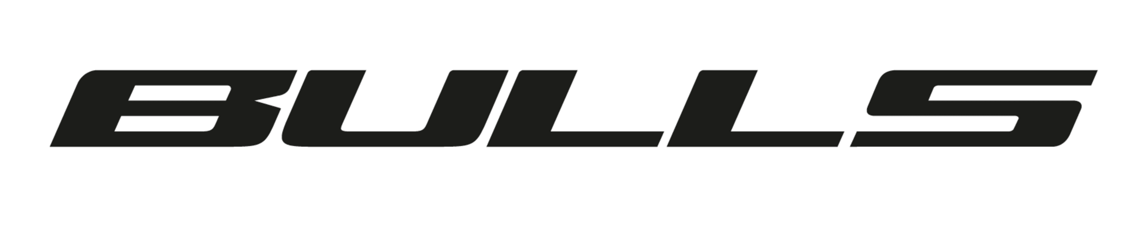 Bulls Logo