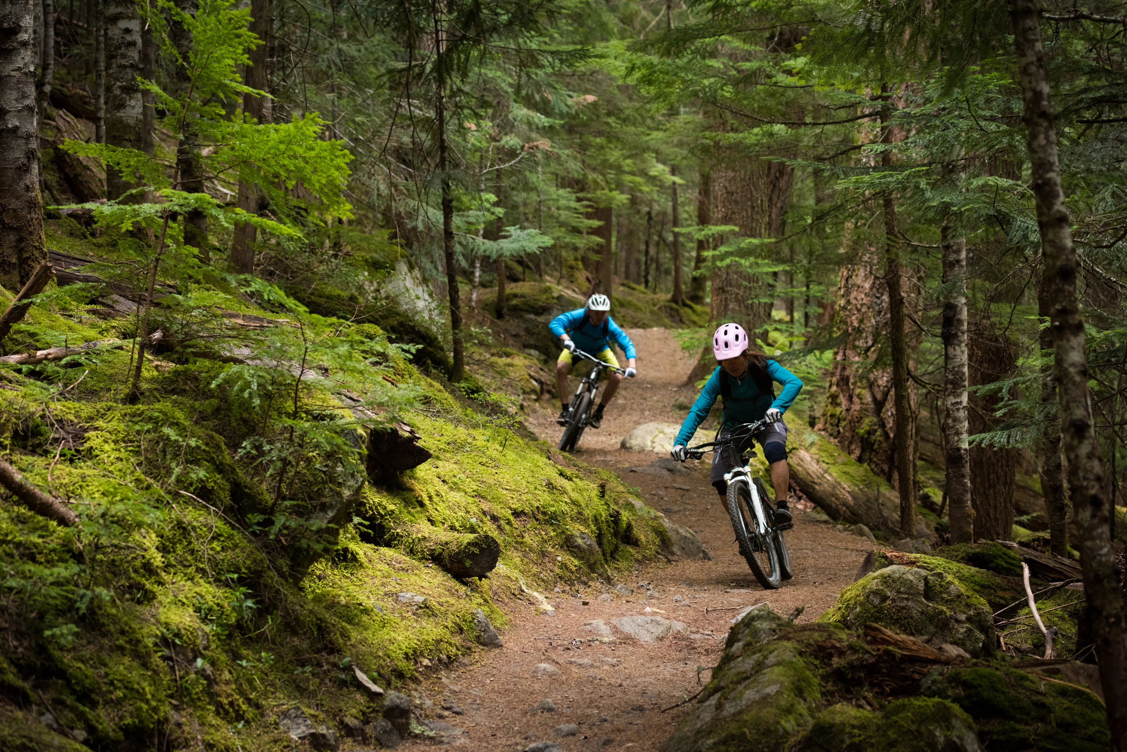 Eine Frau und ein Mann fahren im Wald einen Trail hinunter.