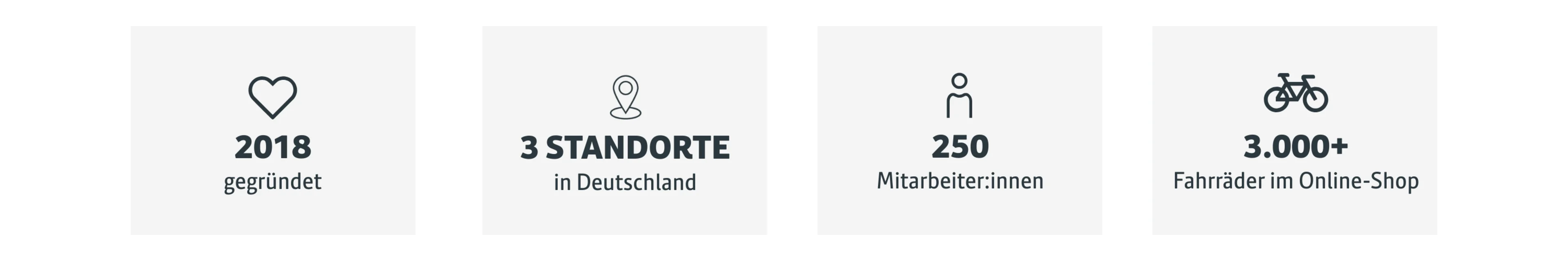 Keyfacts JobRad Loop