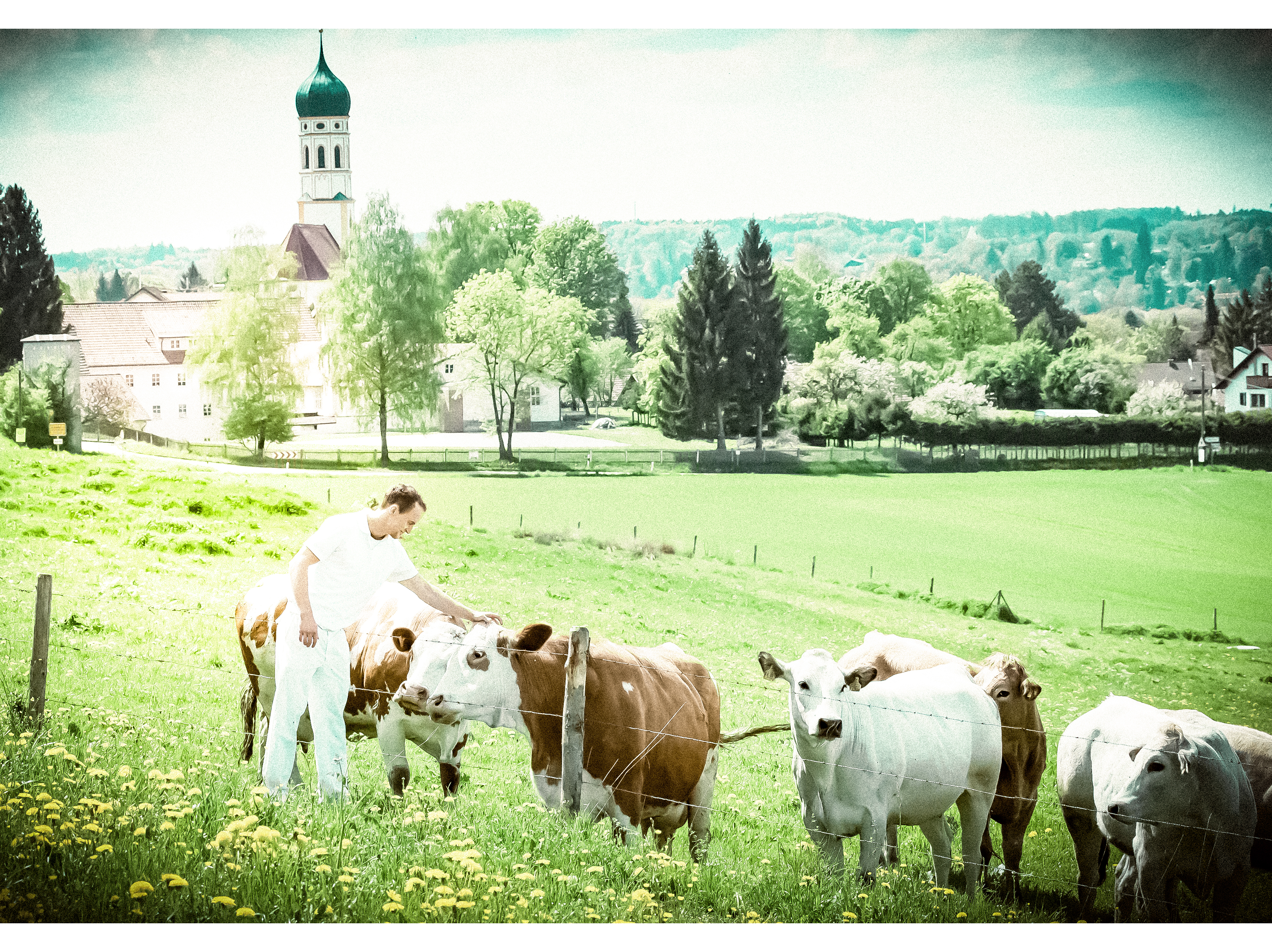 Metzgerei Ruf regionales Fleisch