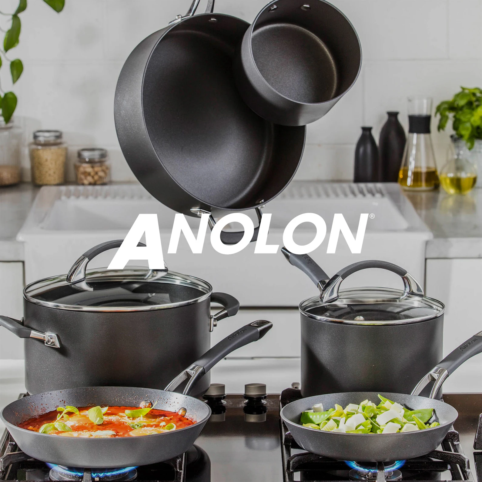 2025-02-18-Anolon 795@2x