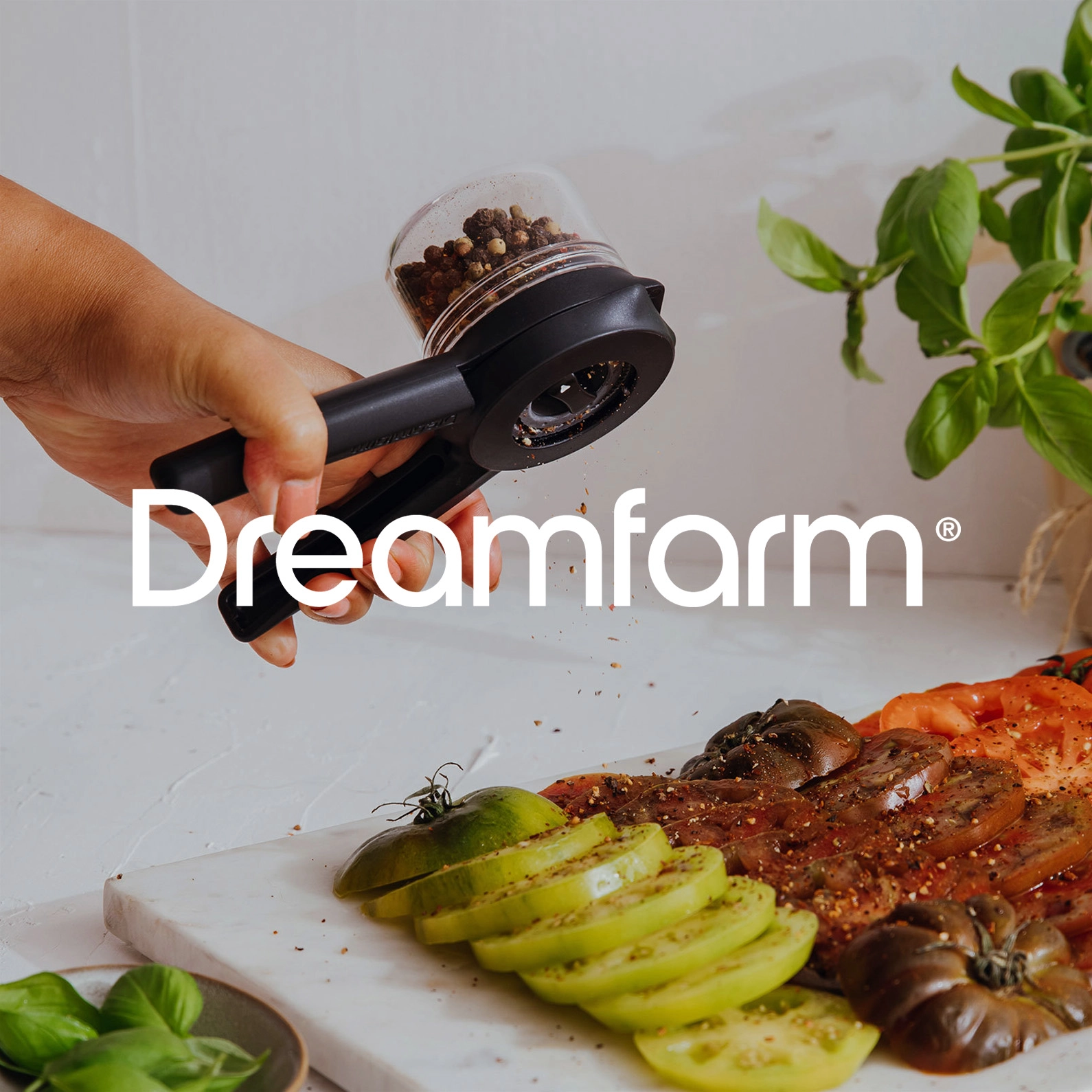 2025 02 27 Dreamfarm 795@2x