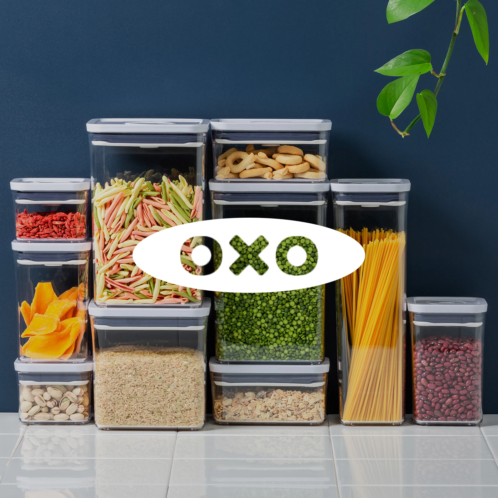 2025 02 27 OXO 795@2x