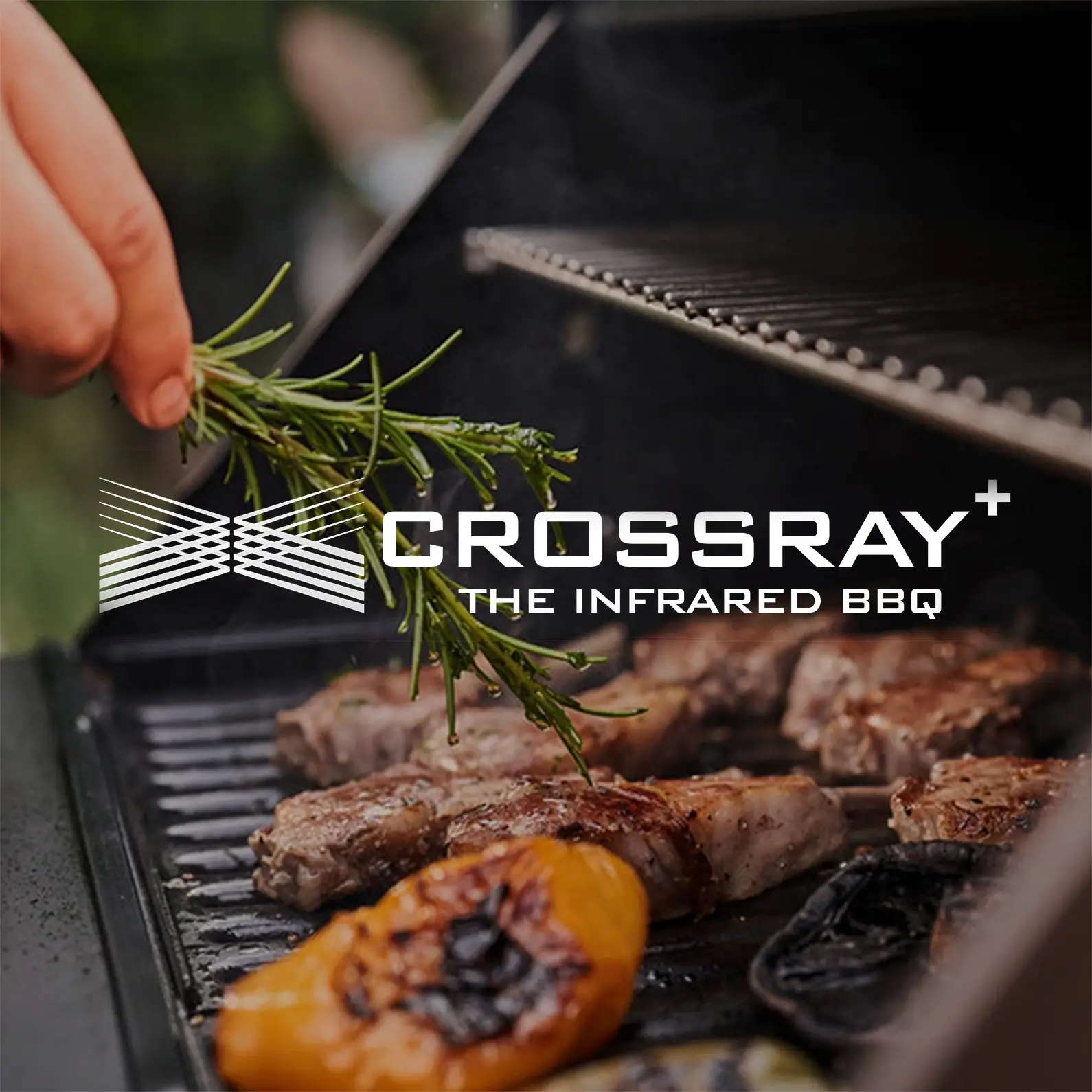 Living Crossray 795@2x