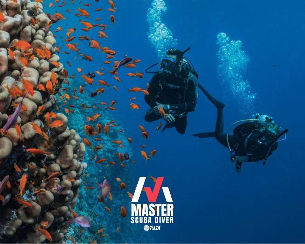 Two scuba divers swimming underwater in deep blue water viewed from below.