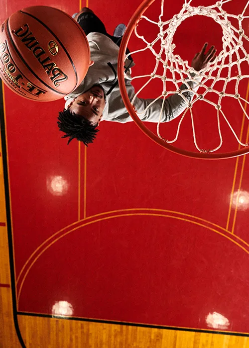 Official State Adopted Basketball