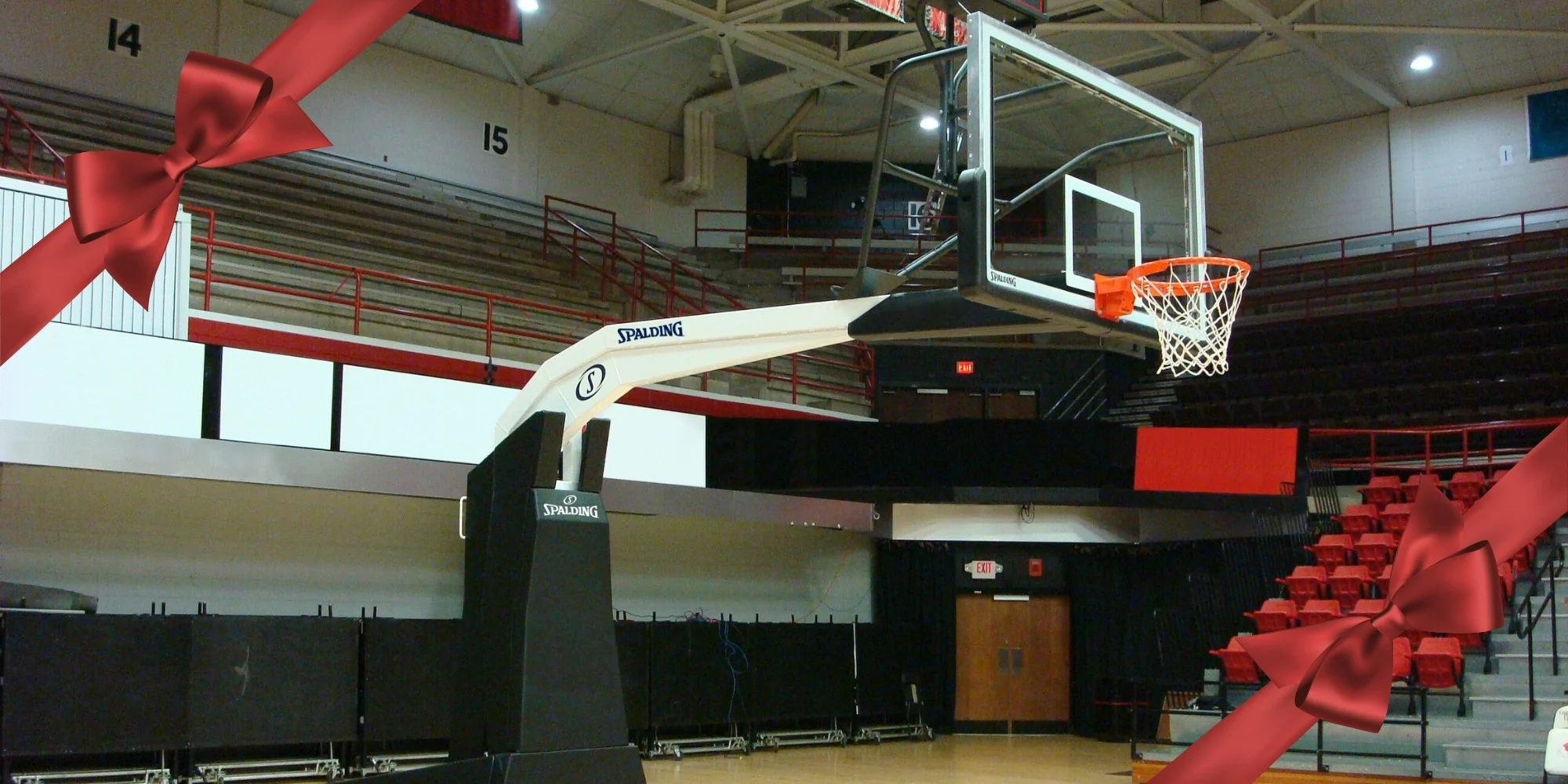 image of arena renegade