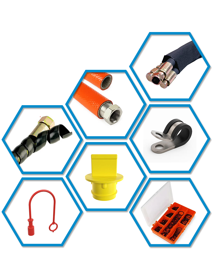 key points infographic