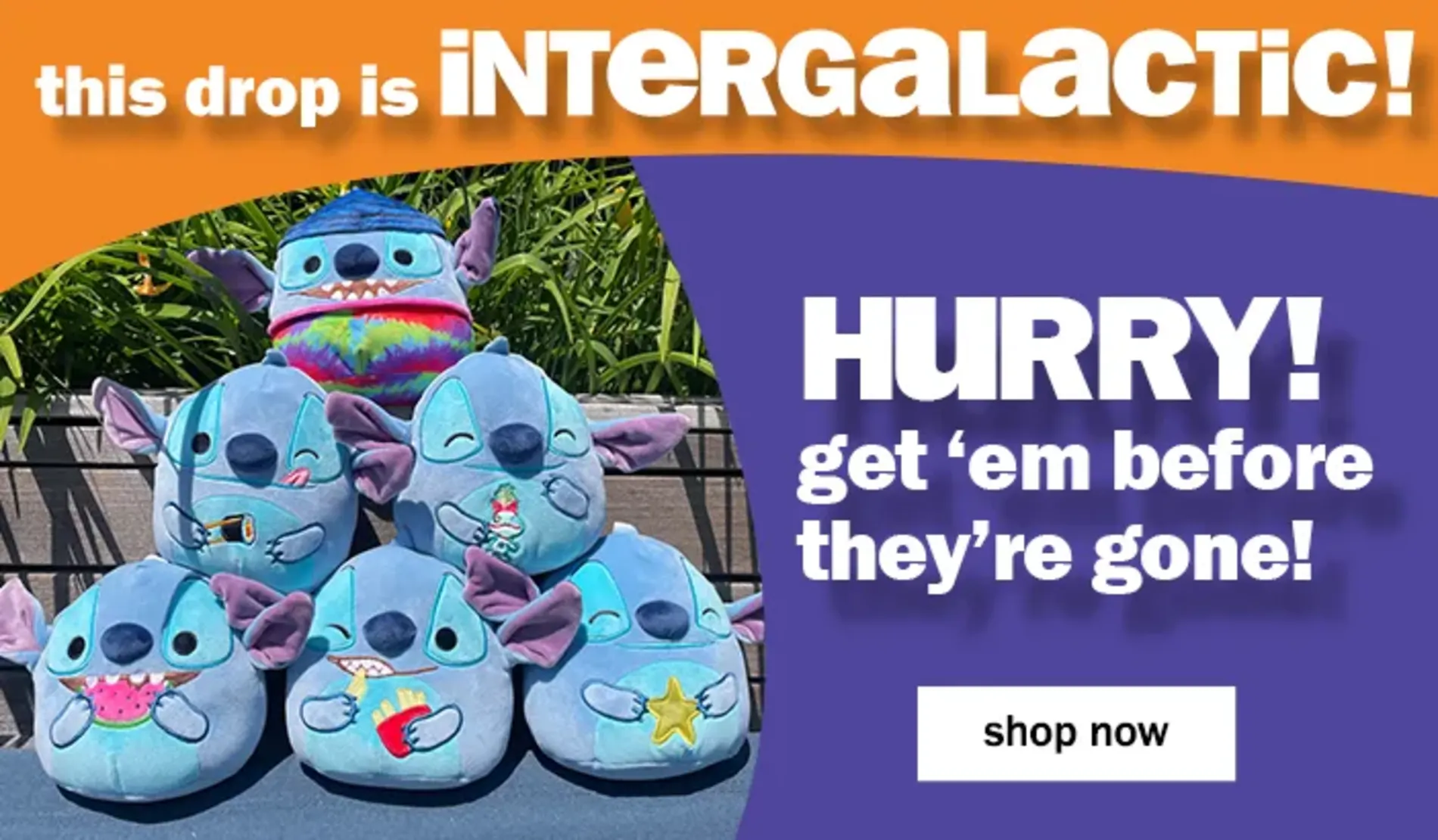 Original Squishmallows. This drop is Intergalactic! Hurry! Get 'em before they're gone! Shop Now.