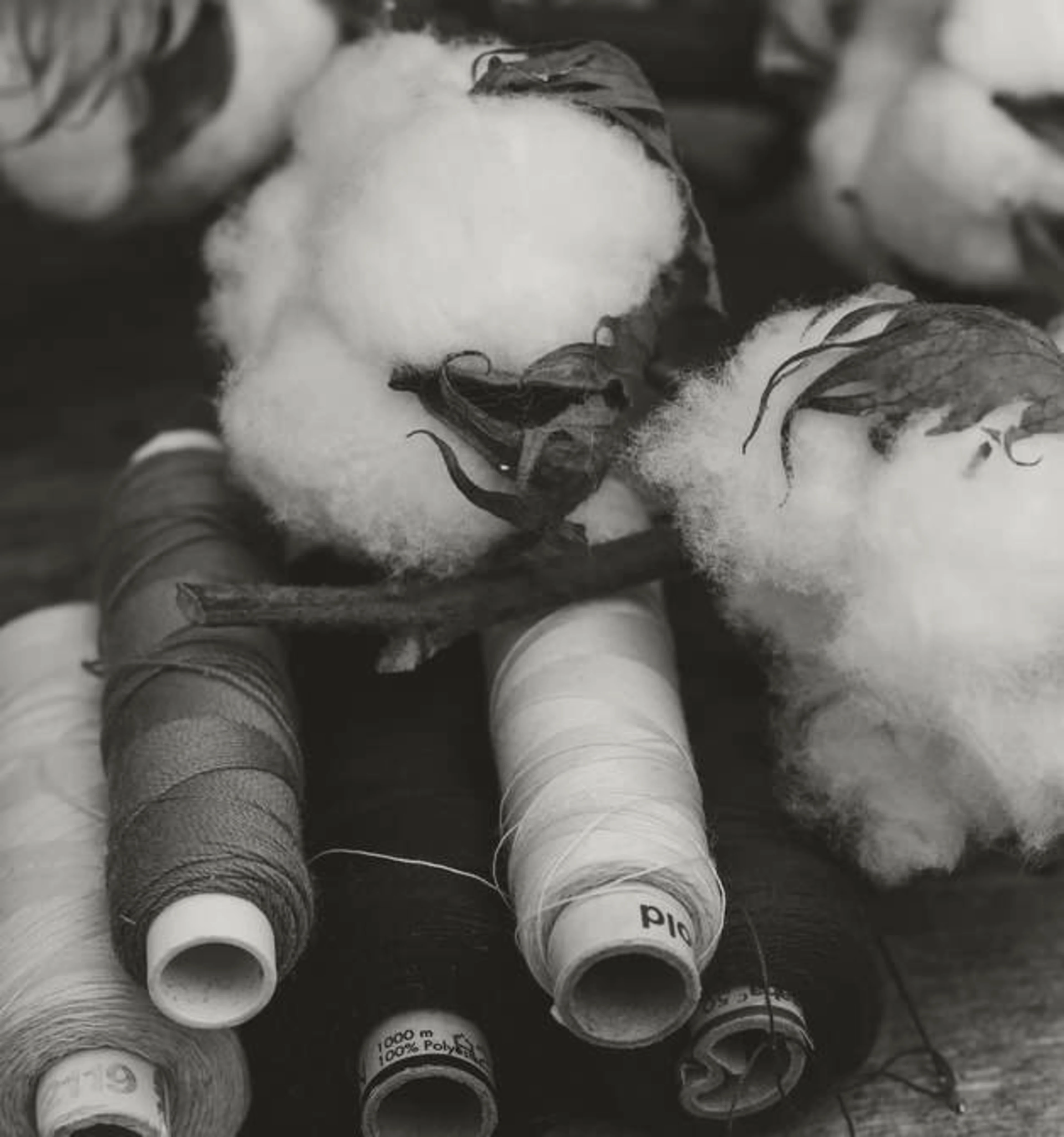 72.aa.c2.BildmotiveLandingpage628x671Nachhaltigkeitmitbestemgewissennachhaltigequalitaetgeniessen2NEU