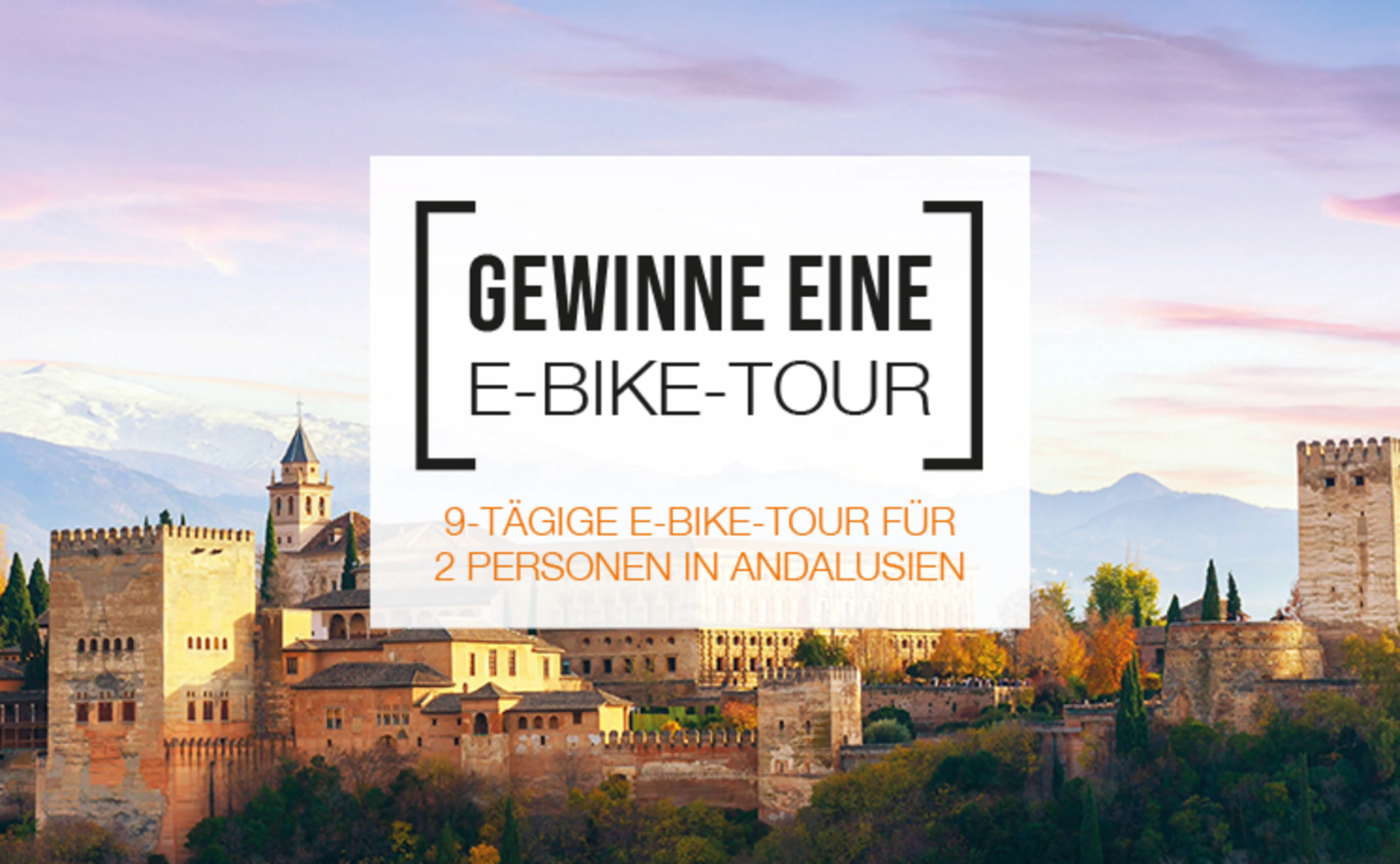 Gewinne 1 von 5 Koffer-Sets