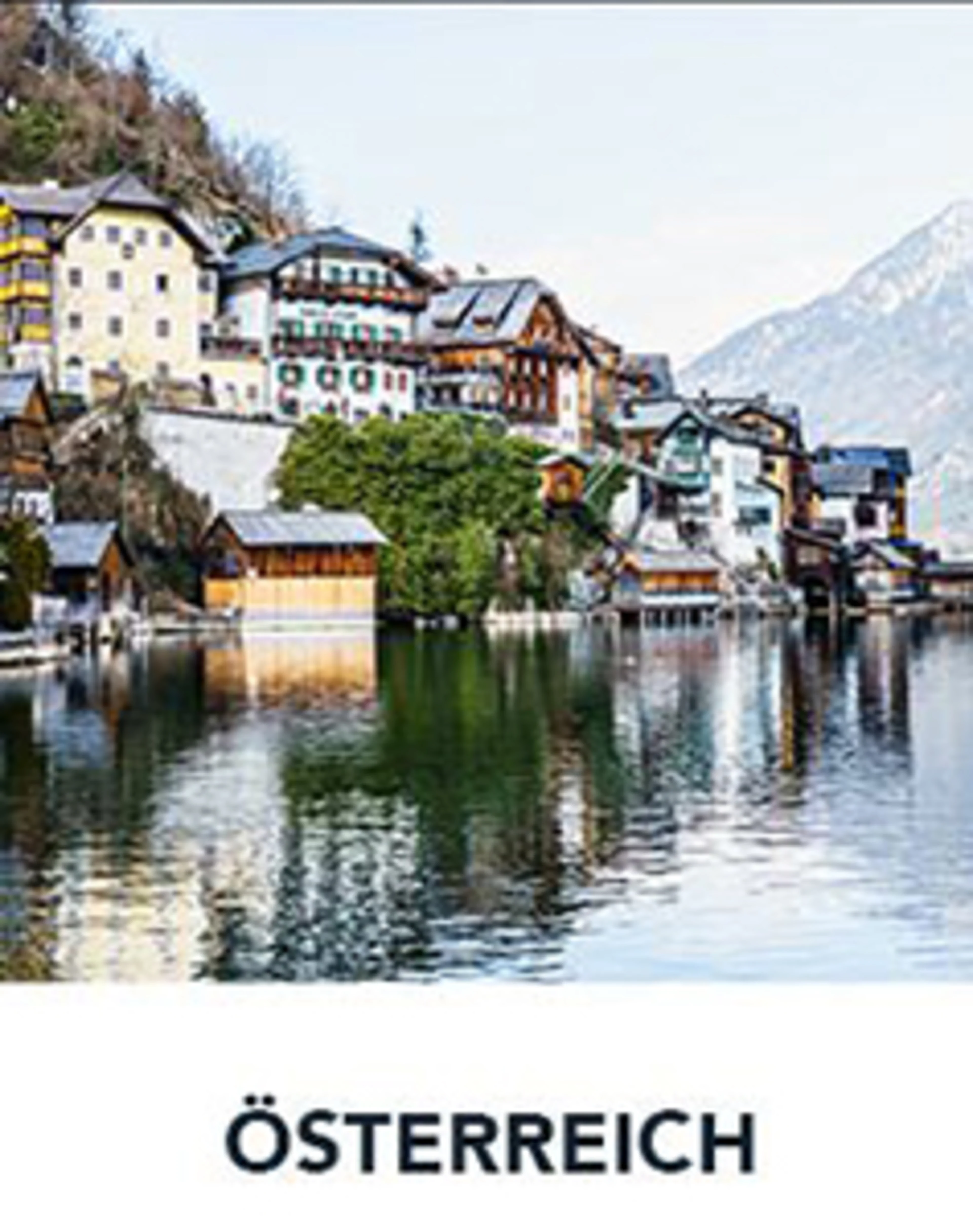 Eng D 2024 01 Karriere Österreich