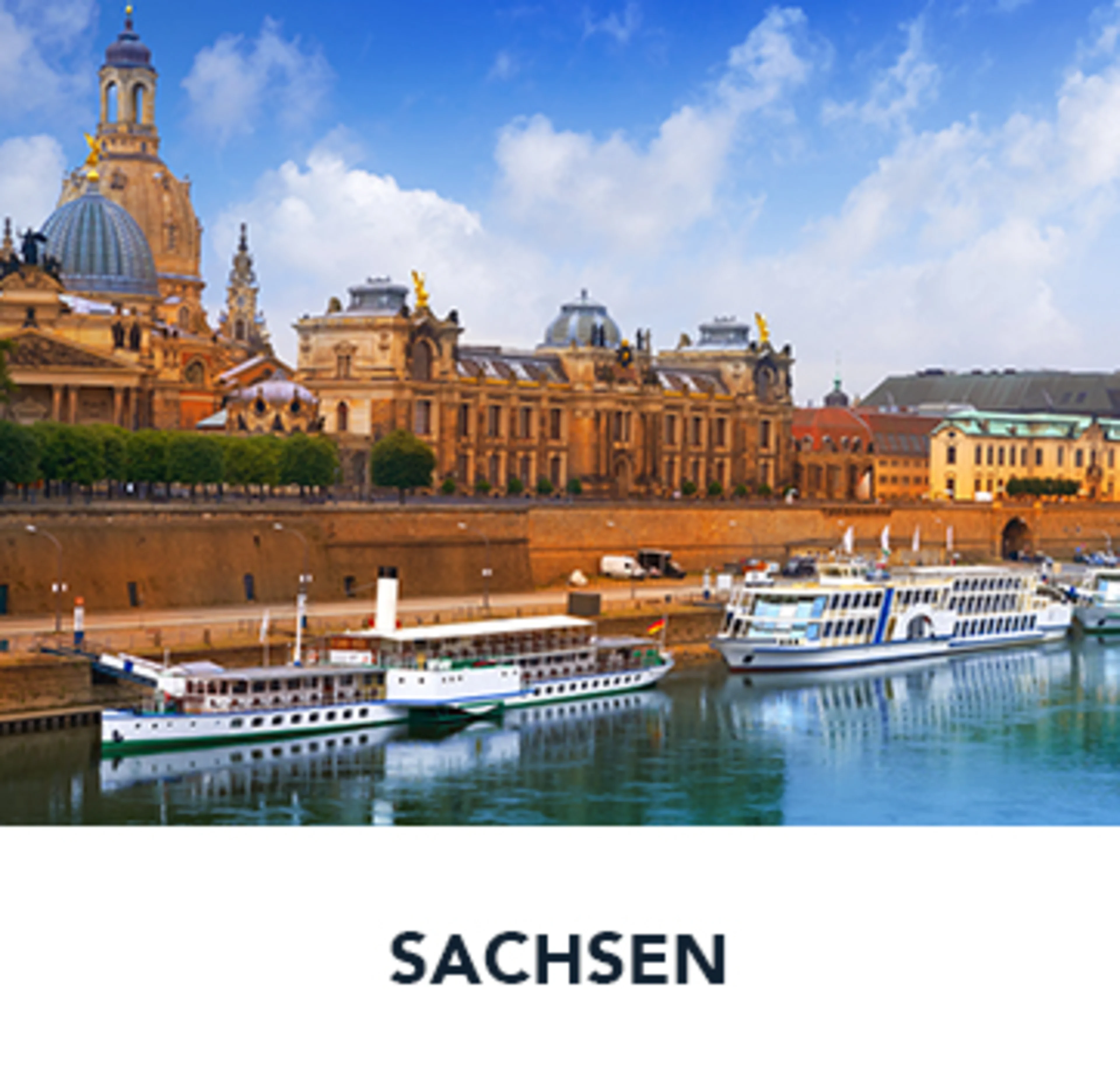 Eng M 2024 01 Karriere Sachsen