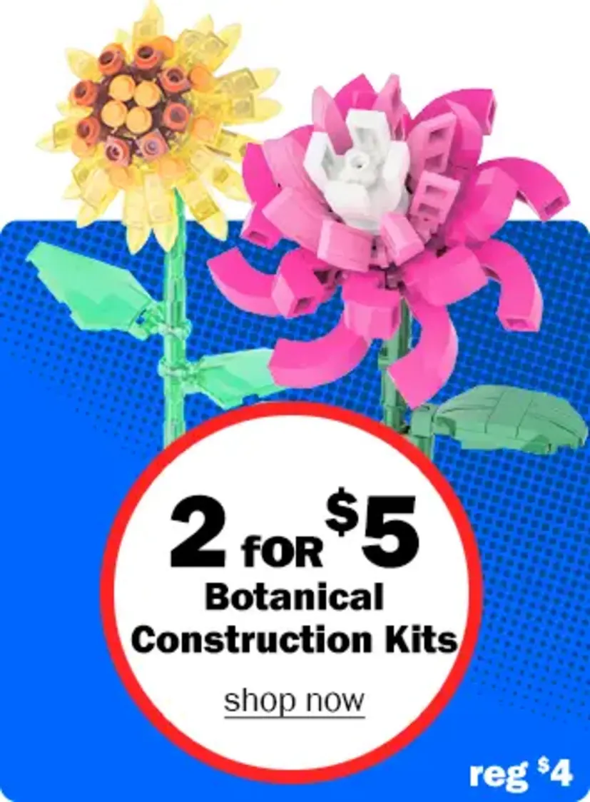 2 for $5 Flower Construction Kits Reg $4. Shop now