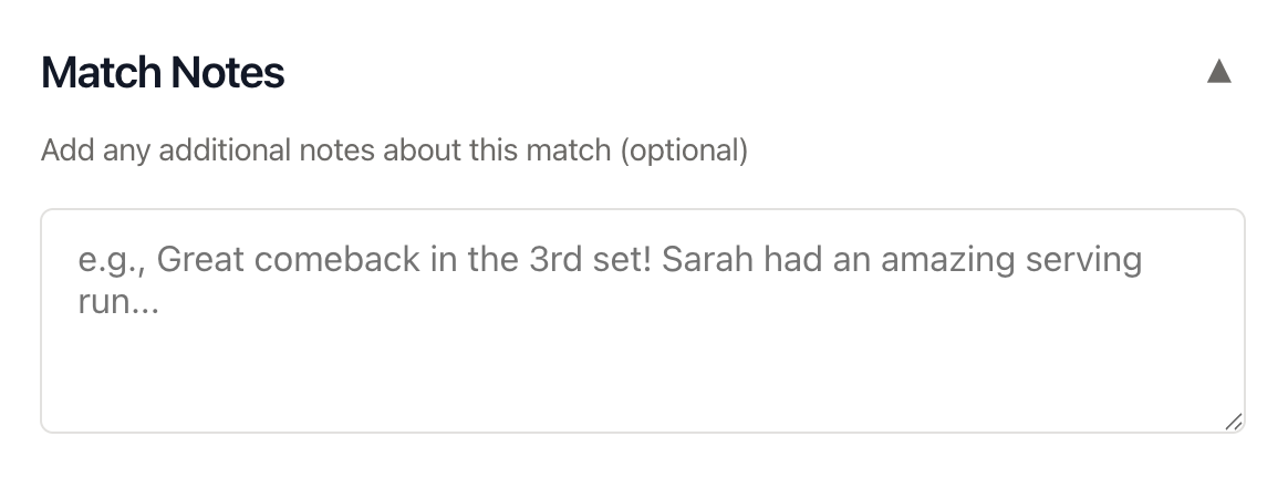 VballStat Match Notes