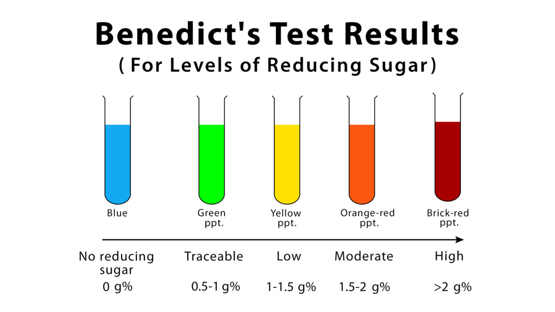 What Is Benedict’s Test and How Is It Used?