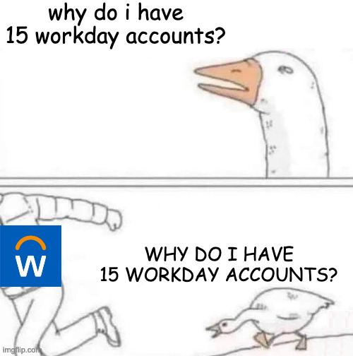 The Goose Chasing Guy meme with the goose asking in the top panel, 'why do i have 15 workday accounts?' In the bottom panel, the goose is chasing the Workday logo screaming, 'WHY DO I HAVE 15 WORKDAY ACCOUNTS?'