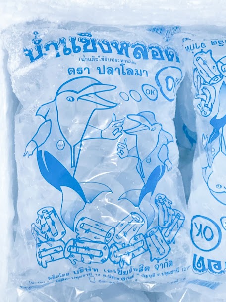 คู่มือชนิดน้ำแข็ง หลอดเล็ก หลอดใหญ่ ซอง ป่น แพ็ค ใช้แบบไหนเมื่อไร