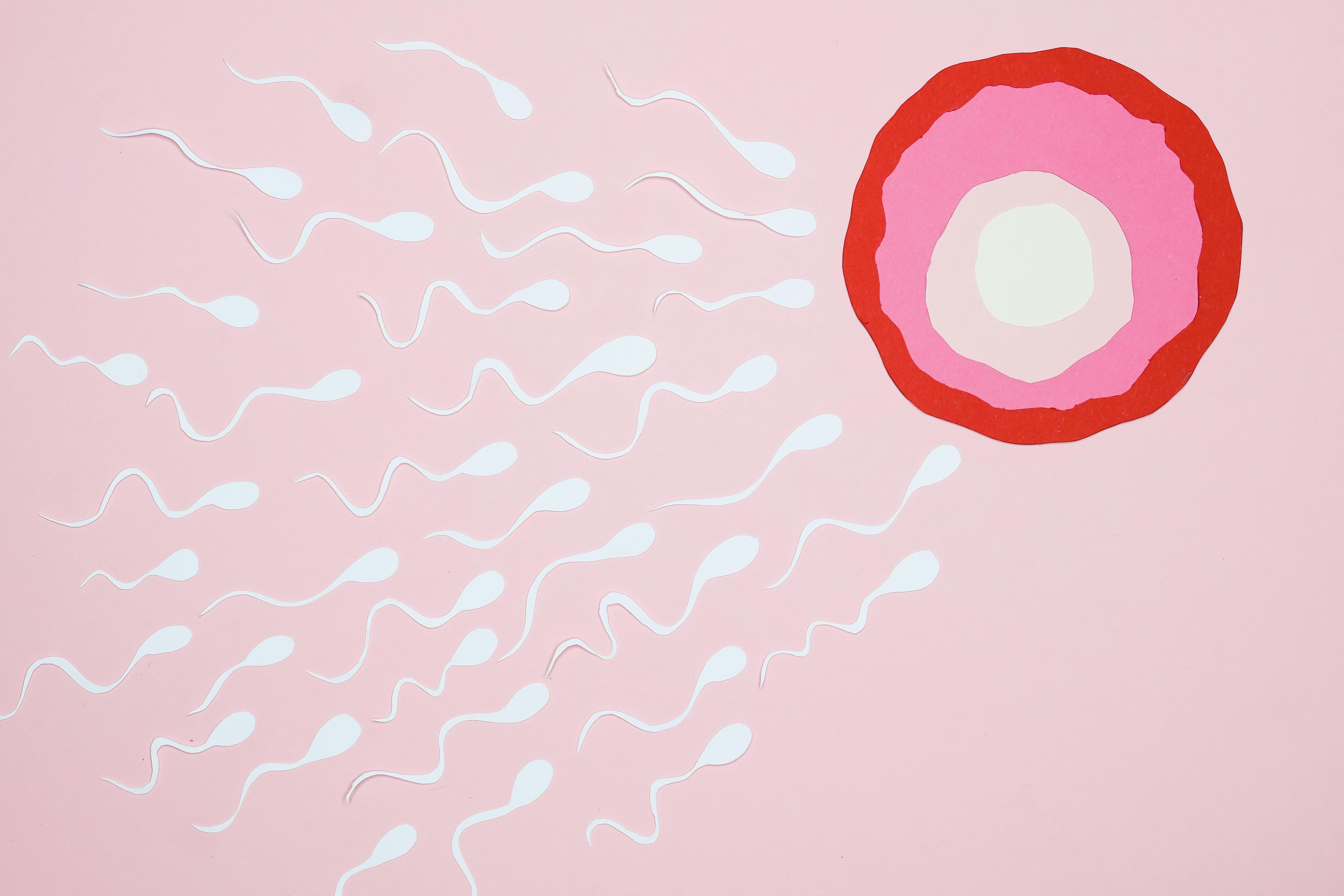 Fertility Service image 1