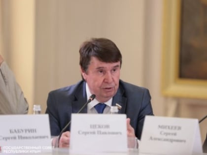 Сергей Цеков предложил разработать положение, чтобы убрать иностранный язык с вывесок