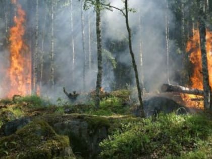 Штормовое предупреждение на четыре дня объявили в западных районах Крыма