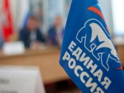 Почти 500 тысяч человек из новых регионов участвовали в праймериз ЕР