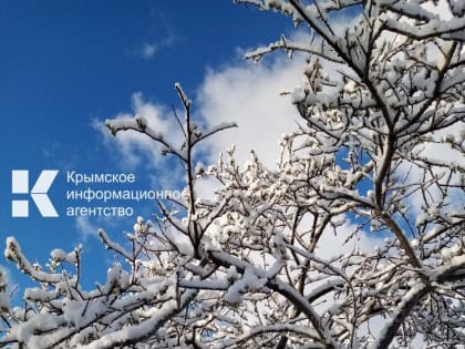 В понедельник в Крым придёт потепление