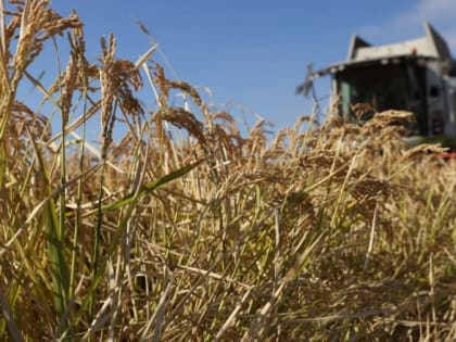 Крым готов к любой пакости