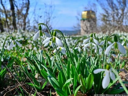 Погода на 3 марта: в Крыму и Севастополе переменная облачность, до +8°С