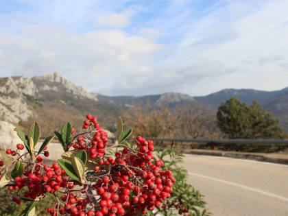 Погода на 12 января 2023 года в Крыму и Севастополе: воздух прогреется до плюс 13 градусов