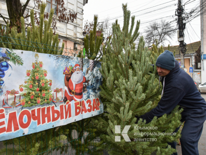 202 ёлочных базара открылись в Крыму: адреса