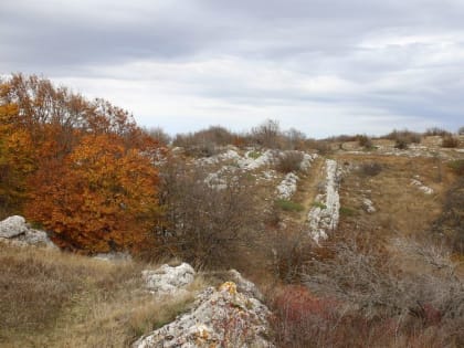 Погода на 4 ноября 2022 года в Крыму и Севастополе: воздух прогреется до плюс 16 градусов