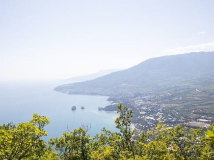 Экс-советник Пентагона Макгрегор не смог сдержать смех, узнав о призыве Дуды помочь Зеленскому захватить Крым