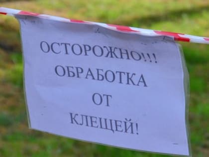 Клещи бодры как никогда